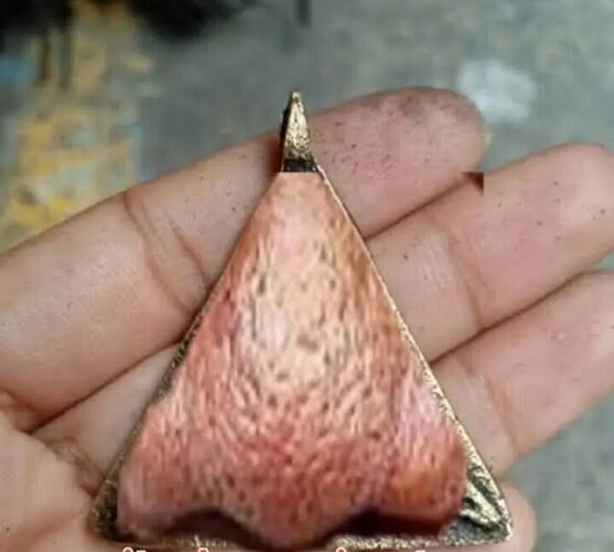 Screenshot_20251003-124658